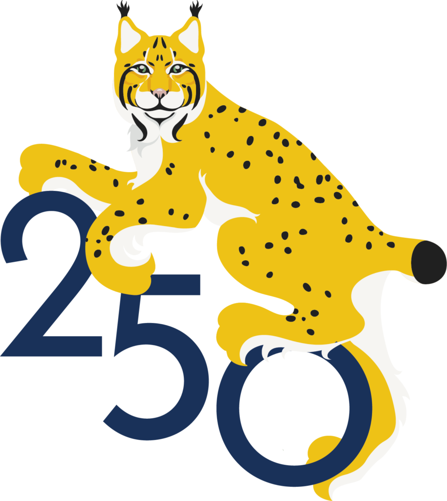 Heinola 250 ilves.